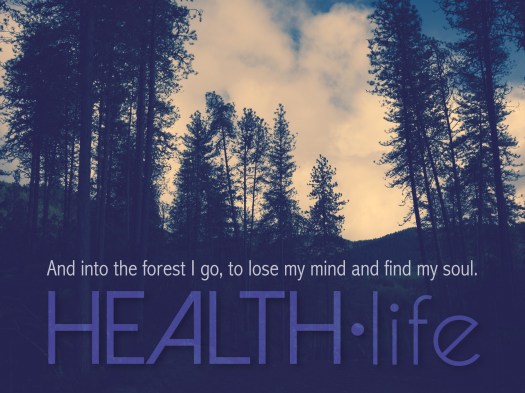 hl-graphics-800x700px-forest